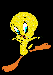 KACATKO.gif